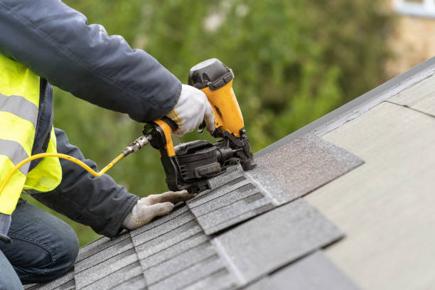 Best Roof Moss and Algae Removal  in Abbeville, SC