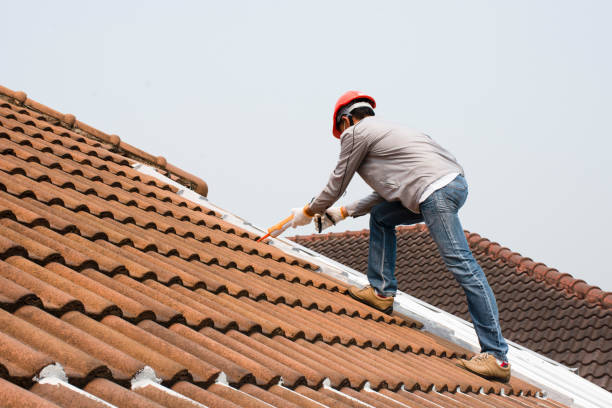 Best Roof Leak Repair  in Abbeville, SC